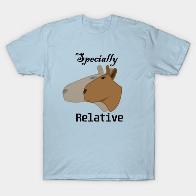 Special relativity T-Shirt by foolorm